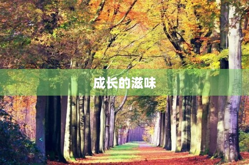 成长的滋味 成长的滋味