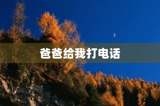 爸爸给我打电话
