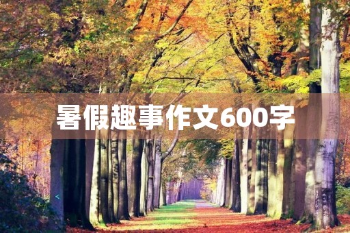 暑假趣事作文600字