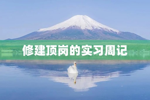 修建顶岗的实习周记 修建顶岗的实习周记