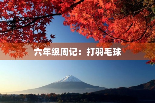 六年级周记:打羽毛球 六年级周记:打羽毛球
