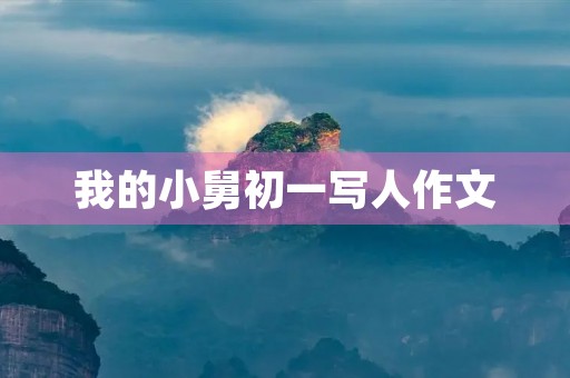 我的小舅初一写人作文 我的小舅初一写人作文