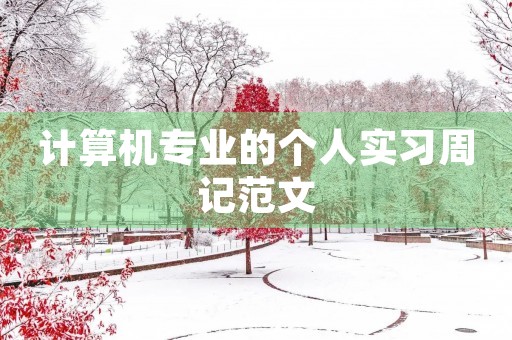 计算机专业的个人实习周记范文
