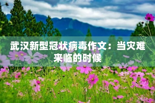武汉新型冠状病毒作文：当灾难来临的时候