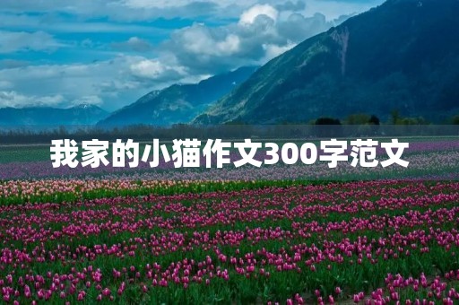 我家的小猫作文300字范文 我家的小猫作文300字范文