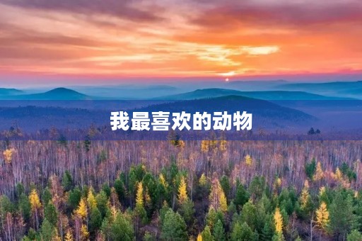 我最喜欢的动物 我最喜欢的动物