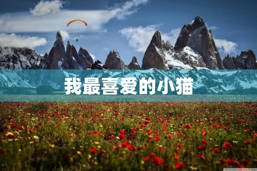 我最喜爱的小猫 我最喜爱的小猫