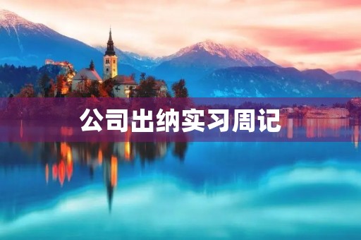 公司出纳实习周记 公司出纳实习周记