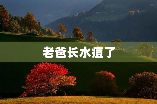 老爸长水痘了
