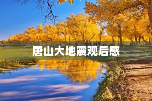 唐山大地震观后感 唐山大地震观后感