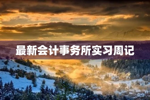 最新会计事务所实习周记 最新会计事务所实习周记