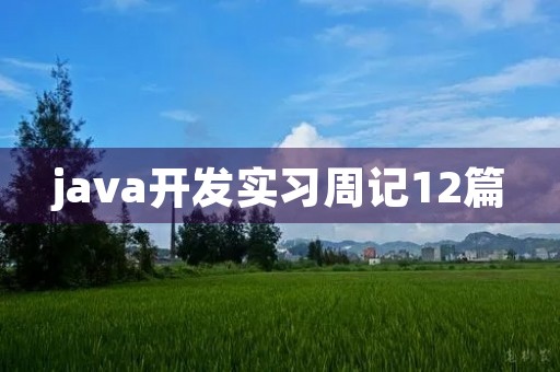 java开发实习周记12篇 java开发实习周记12篇