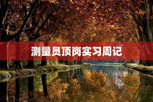 测量员顶岗实习周记