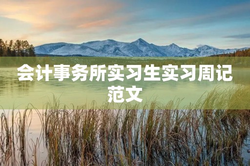 会计事务所实习生实习周记范文 会计事务所实习生实习周记范文