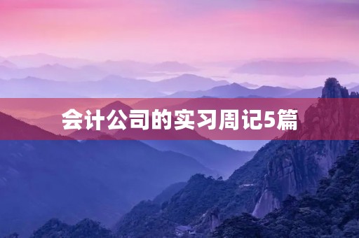 会计公司的实习周记5篇