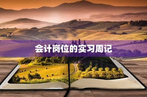 会计岗位的实习周记