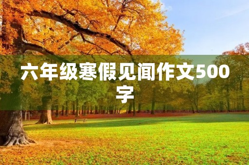 六年级寒假见闻作文500字 六年级寒假见闻作文500字