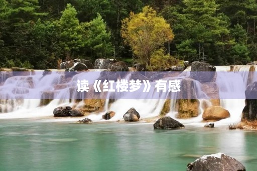读《红楼梦》有感 读《红楼梦》有感