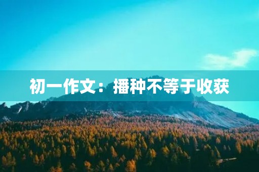 初一作文：播种不等于收获