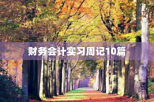 财务会计实习周记10篇