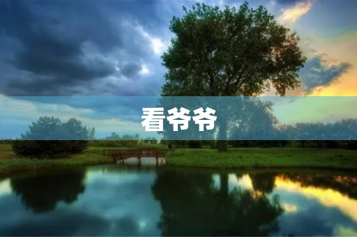 看爷爷