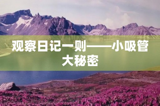 观察日记一则——小吸管大秘密 观察日记一则——小吸管大秘密