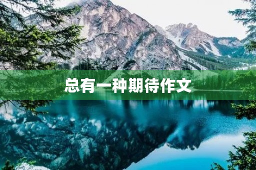 总有一种期待作文