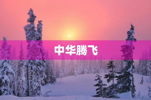 中华腾飞 中华腾飞