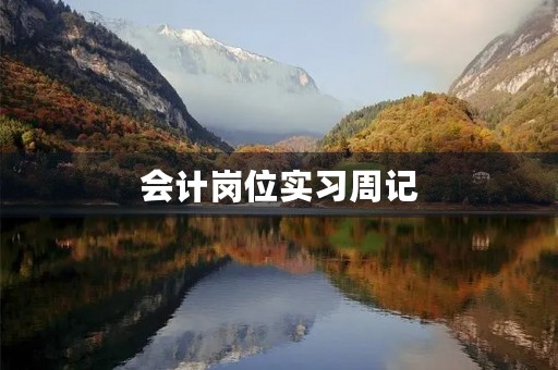 会计岗位实习周记 会计岗位实习周记