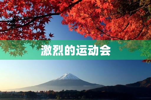 激烈的运动会 激烈的运动会