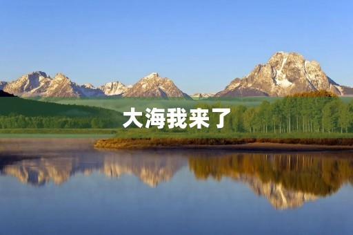 大海我来了 大海我来了