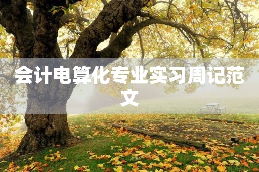 会计电算化专业实习周记范文