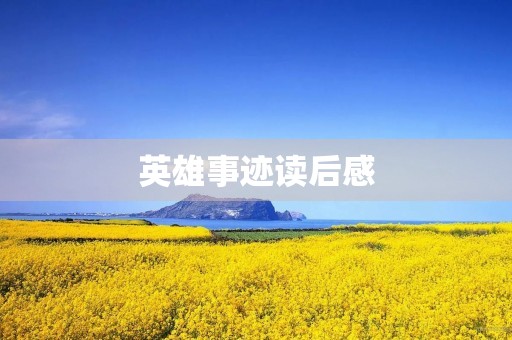 英雄事迹读后感 英雄事迹读后感