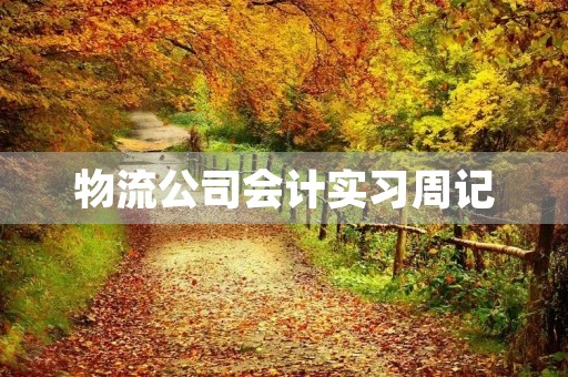 物流公司会计实习周记 物流公司会计实习周记