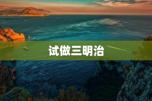 试做三明治 试做三明治