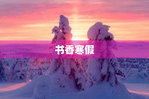 书香寒假 书香寒假