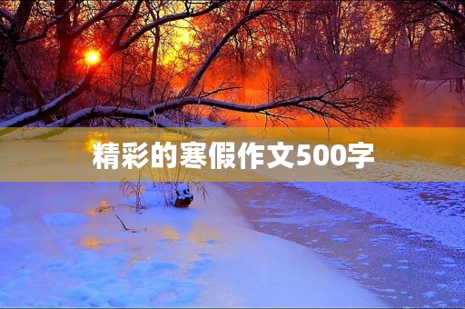 精彩的寒假作文500字