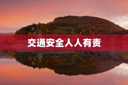 交通安全人人有责