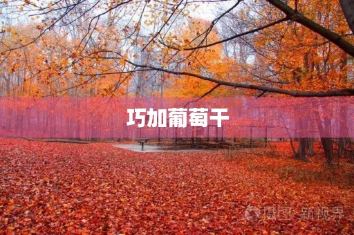 巧加葡萄干 巧加葡萄干