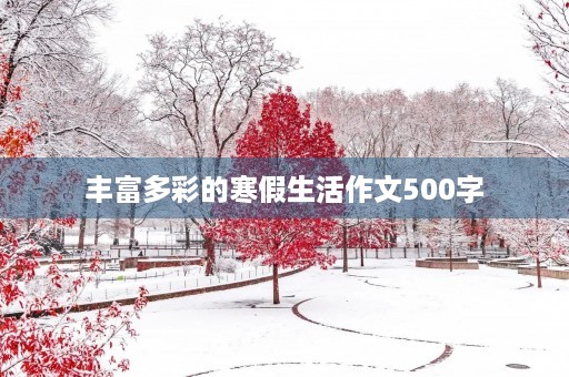 丰富多彩的寒假生活作文500字 丰富多彩的寒假生活作文500字