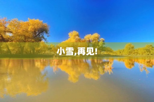 小雪,再见! 小雪,再见!