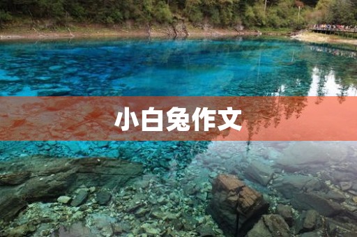 小白兔作文
