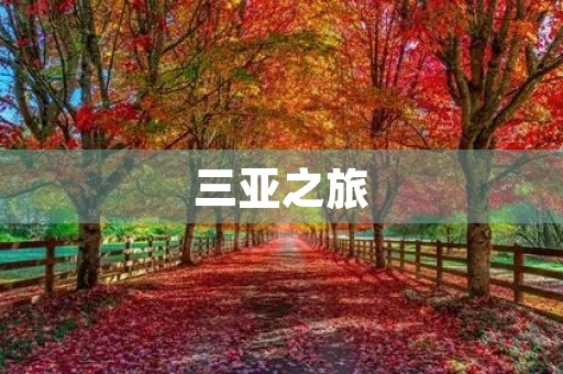 三亚之旅