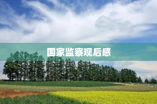 国家监察观后感【简短】