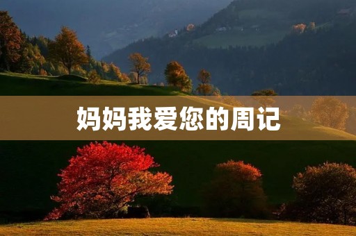 妈妈我爱您的周记 妈妈我爱您的周记
