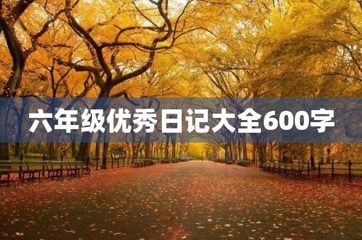 六年级优秀日记大全600字 六年级优秀日记大全600字