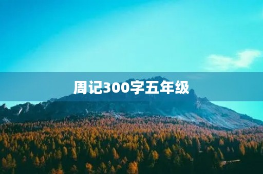 周记300字五年级