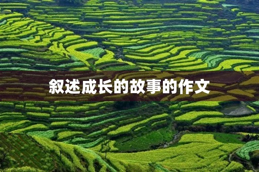 叙述成长的故事的作文
