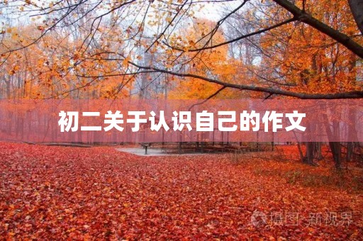 初二关于认识自己的作文