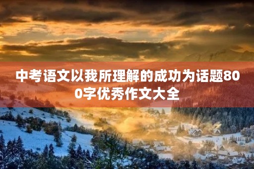 中考语文以我所理解的成功为话题800字优秀作文大全 中考语文以我所理解的成功为话题800字优秀作文大全